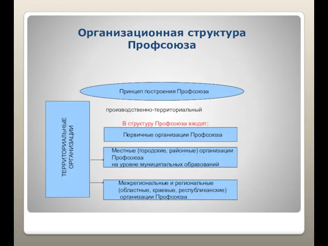Организационная структура Профсоюза Принцип построения Профсоюза производственно-территориальный В структуру Профсоюза