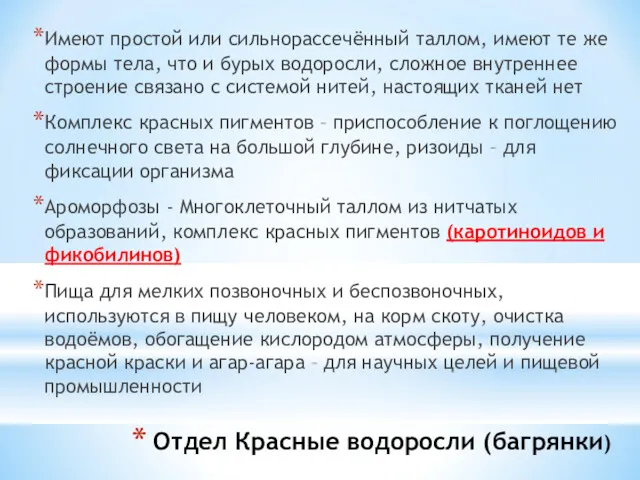 Отдел Красные водоросли (багрянки) Имеют простой или сильнорассечённый таллом, имеют