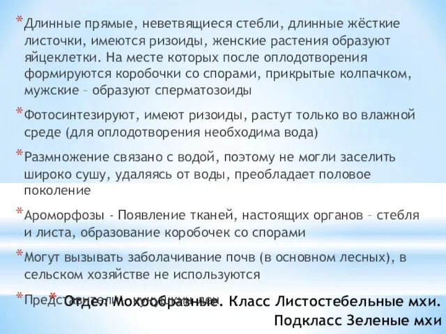 Отдел Мохообразные. Класс Листостебельные мхи. Подкласс Зеленые мхи Длинные прямые,