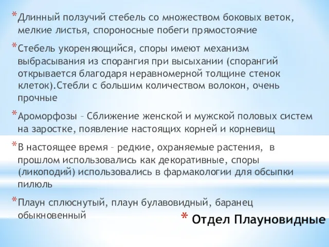 Отдел Плауновидные Длинный ползучий стебель со множеством боковых веток, мелкие