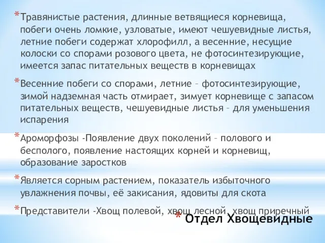 Отдел Хвощевидные Травянистые растения, длинные ветвящиеся корневища, побеги очень ломкие,