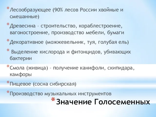 Значение Голосеменных Лесообразующее (90% лесов России хвойные и смешанные) Древесина