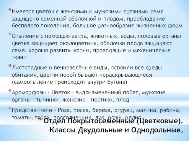 Отдел Покрытосеменные (Цветковые). Классы Двудольные и Однодольные. Имеется цветок с