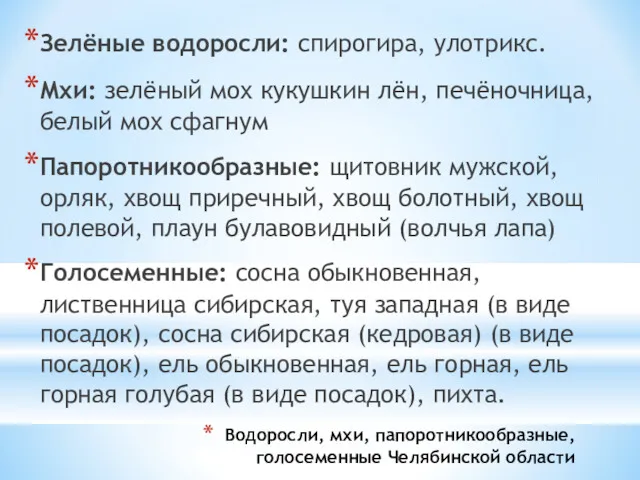 Водоросли, мхи, папоротникообразные, голосеменные Челябинской области Зелёные водоросли: спирогира, улотрикс.