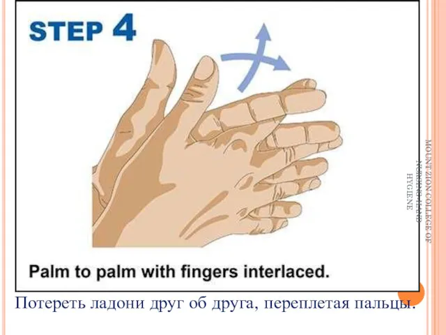 Потереть ладони друг об друга, переплетая пальцы. MOUNT ZION COLLEGE OF NURSING-HAND HYGIENE