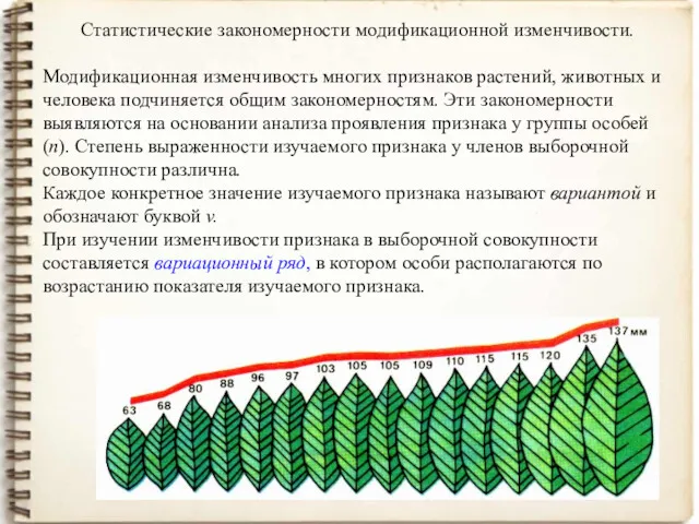 Статистические закономерности модификационной изменчивости. Модификационная изменчивость многих признаков растений, животных