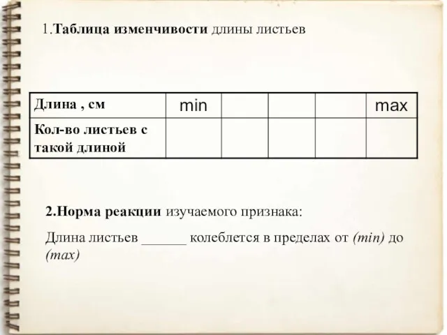 1.Таблица изменчивости длины листьев 2.Норма реакции изучаемого признака: Длина листьев