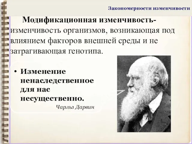 Закономерности изменчивости Модификационная изменчивость- изменчивость организмов, возникающая под влиянием факторов