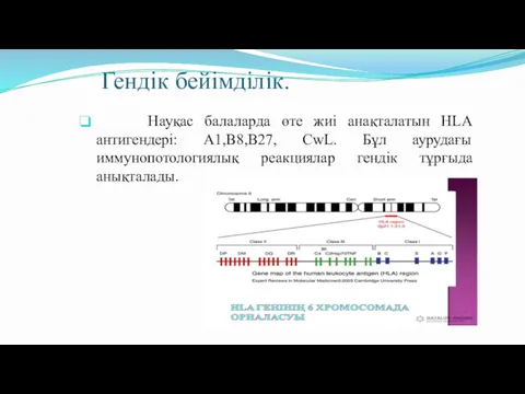Гендік бейімділік. Науқас балаларда өте жиі анақталатын HLA антигендері: А1,В8,В27,