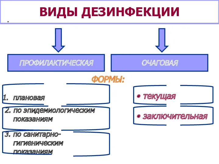 ВИДЫ ДЕЗИНФЕКЦИИ ПРОФИЛАКТИЧЕСКАЯ ОЧАГОВАЯ ПРОФИЛАКТИЧЕСКАЯ ОЧАГОВАЯ ФОРМЫ: плановая 2. по