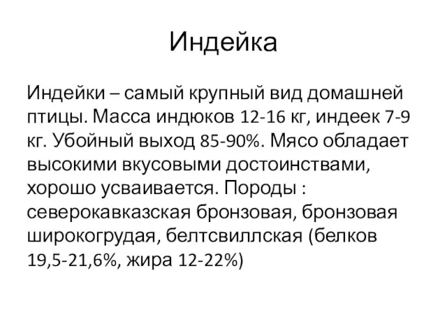 Индейка Индейки – самый крупный вид домашней птицы. Масса индюков 12-16 кг, индеек