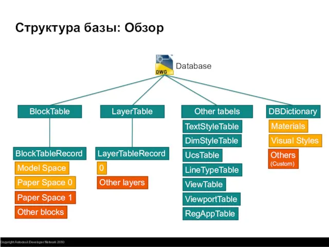 Структура базы: Обзор Database BlockTable LayerTable Other tabels Model Space
