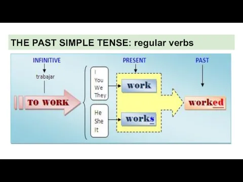 THE PAST SIMPLE TENSE: regular verbs