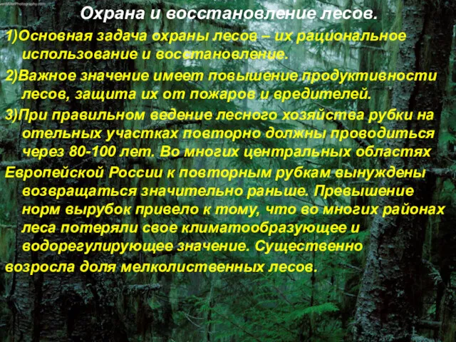 Охрана и восстановление лесов. 1)Основная задача охраны лесов – их