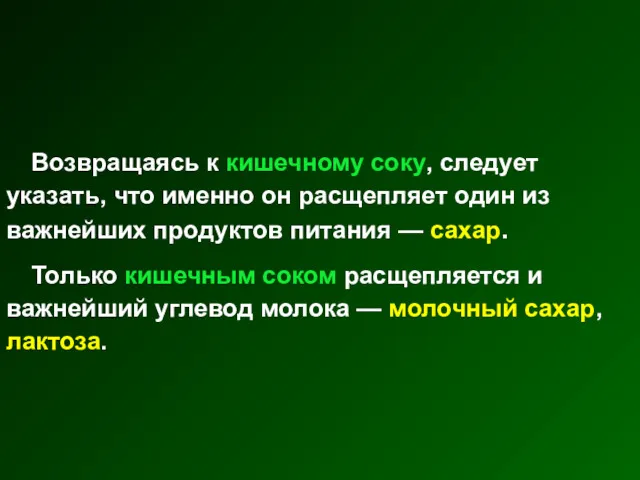 Возвращаясь к кишечному соку, следует указать, что именно он расщепляет