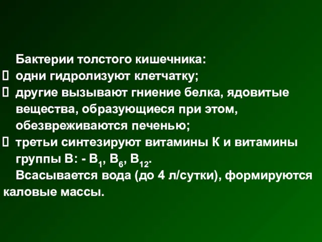 Бактерии толстого кишечника: одни гидролизуют клетчатку; другие вызывают гниение белка, ядовитые вещества, образующиеся