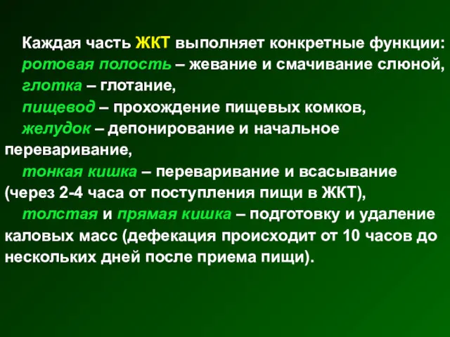 Каждая часть ЖКТ выполняет конкретные функции: ротовая полость – жевание