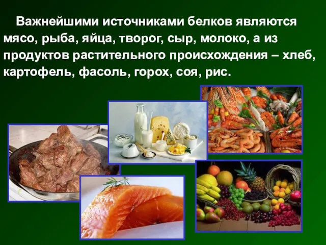 Важнейшими источниками белков являются мясо, рыба, яйца, творог, сыр, молоко,