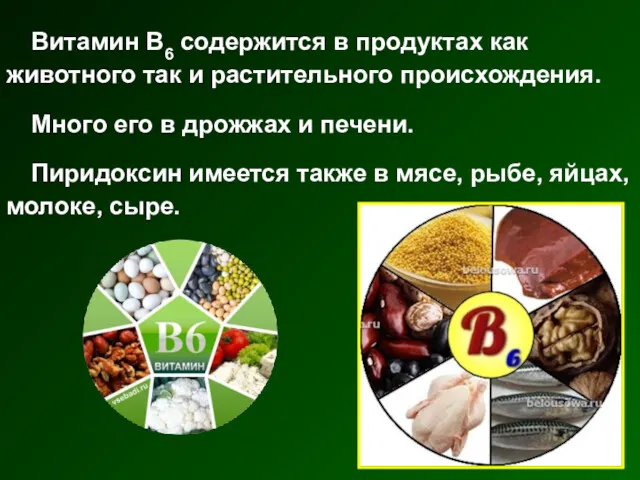 Витамин В6 содержится в продуктах как животного так и растительного происхождения. Много его