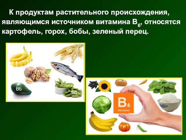 К продуктам растительного происхождения, являющимся источником витамина В6, относятся картофель, горох, бобы, зеленый перец.