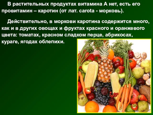 В растительных продуктах витамина А нет, есть его провитамин – каротин (от лат.