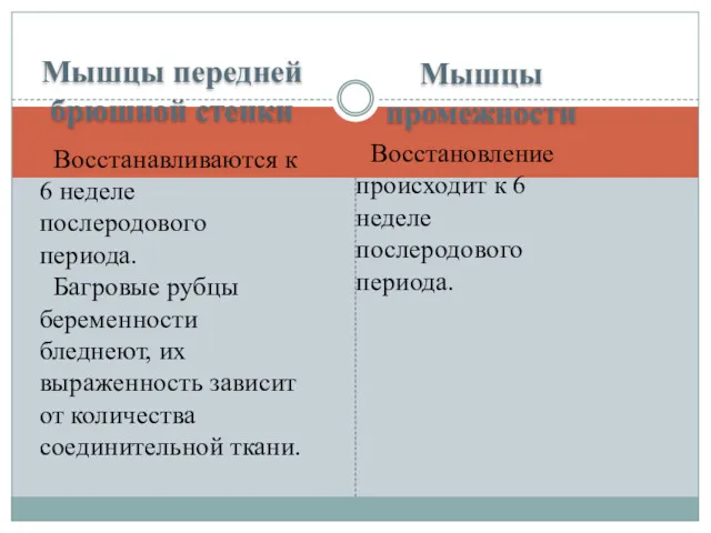 Мышцы передней брюшной стенки Мышцы промежности Восстанавливаются к 6 неделе