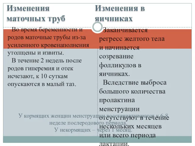 Изменения маточных труб Изменения в яичниках Во время беременности и