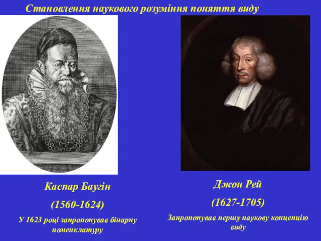 Каспар Баугін (1560-1624) У 1623 році запропонував бінарну номенклатуру Становлення наукового розуміння поняття