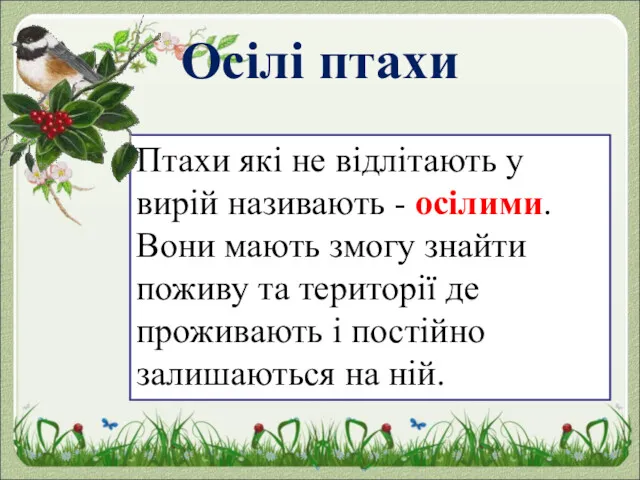 Осілі птахи Птахи які не відлітають у вирій називають -