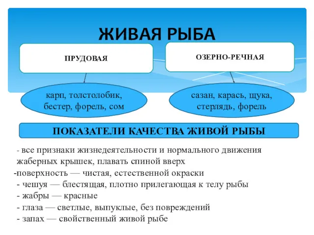 ЖИВАЯ РЫБА ПРУДОВАЯ ОЗЕРНО-РЕЧНАЯ карп, толстолобик, бестер, форель, сом сазан,