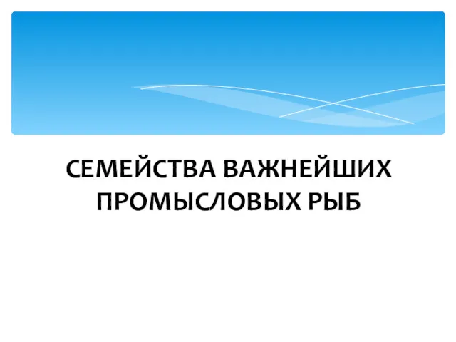 СЕМЕЙСТВА ВАЖНЕЙШИХ ПРОМЫСЛОВЫХ РЫБ