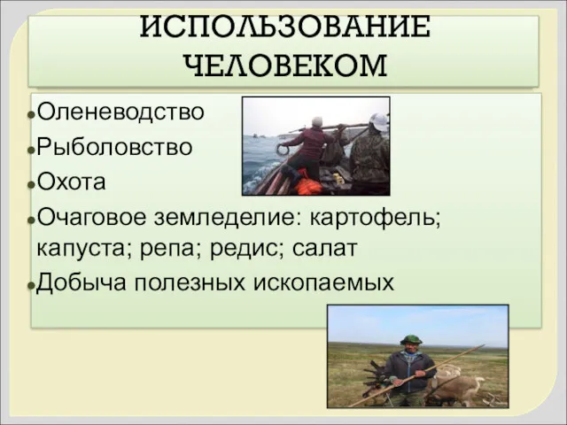 ИСПОЛЬЗОВАНИЕ ЧЕЛОВЕКОМ Оленеводство Рыболовство Охота Очаговое земледелие: картофель; капуста; репа; редис; салат Добыча полезных ископаемых