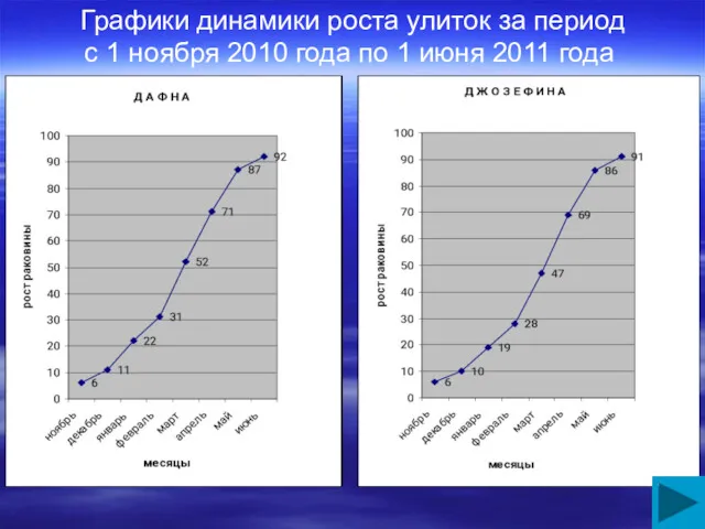 Графики динамики роста улиток за период с 1 ноября 2010 года по 1 июня 2011 года