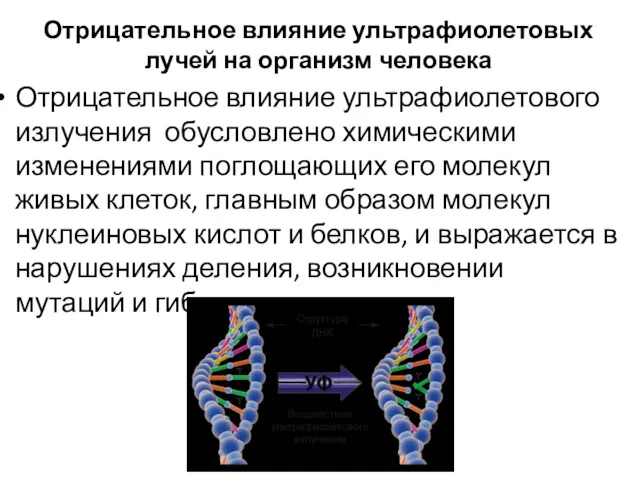 Отрицательное влияние ультрафиолетовых лучей на организм человека Отрицательное влияние ультрафиолетового