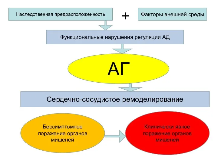 Наследственная предрасположенность Факторы внешней среды Функциональные нарушения регуляции АД АГ