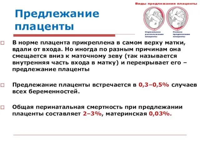 Предлежание плаценты В норме плацента прикреплена в самом верху матки,