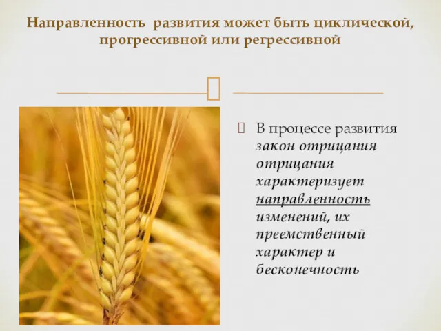 Направленность развития может быть циклической, прогрессивной или регрессивной В процессе