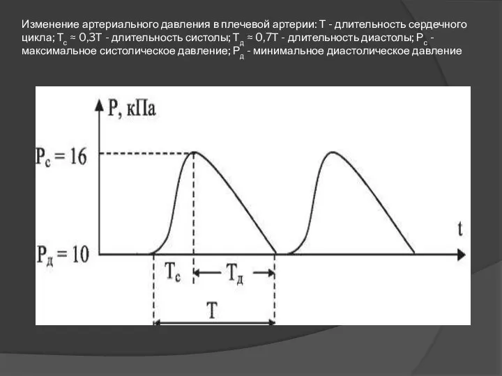 Изменение артериального давления в плечевой артерии: Т - длительность сердечного цикла; Тс ≈