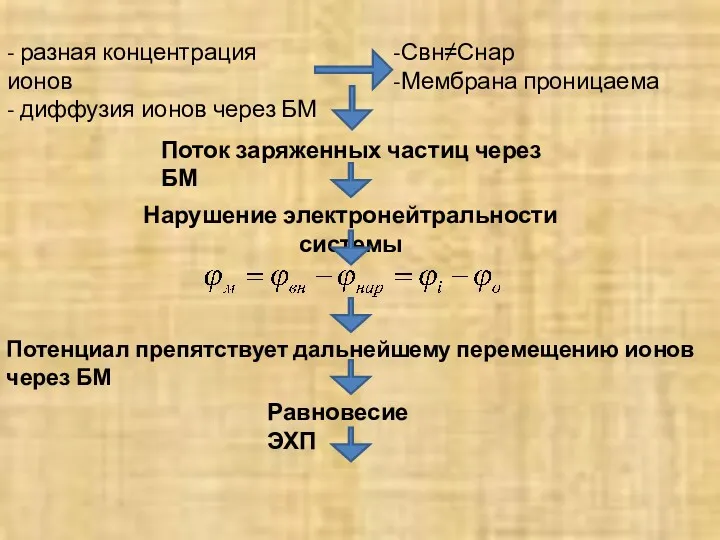 - разная концентрация ионов - диффузия ионов через БМ Свн≠Снар