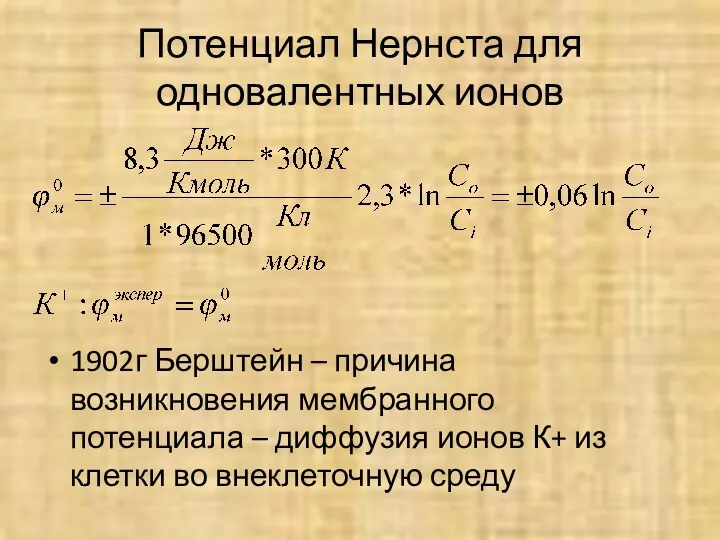 Потенциал Нернста для одновалентных ионов 1902г Берштейн – причина возникновения