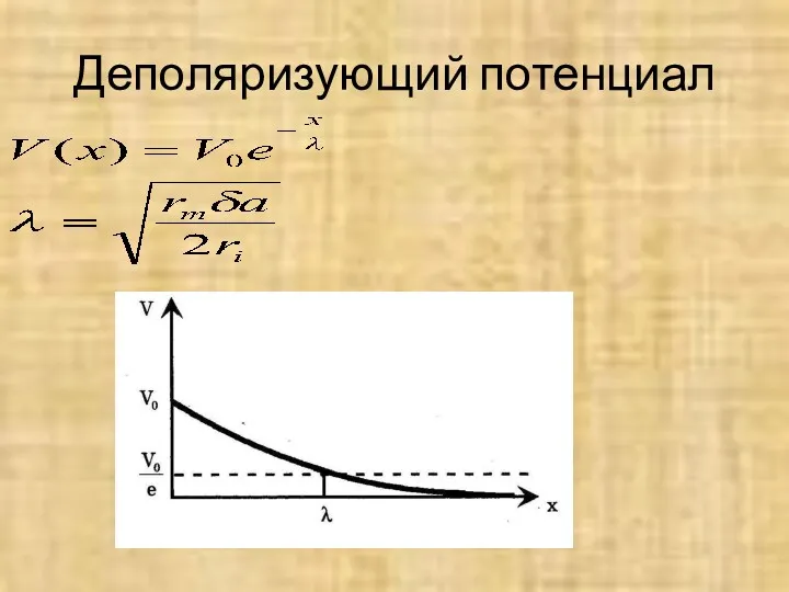 Деполяризующий потенциал