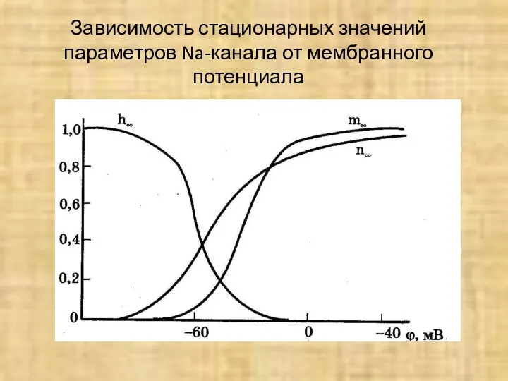 Зависимость стационарных значений параметров Na-канала от мембранного потенциала