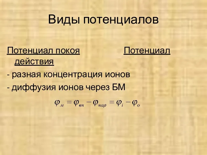 Виды потенциалов Потенциал покоя Потенциал действия - разная концентрация ионов - диффузия ионов через БМ