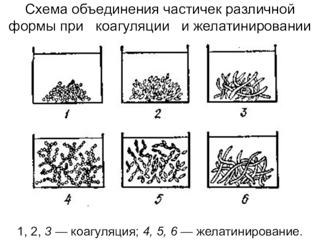 1, 2, 3 — коагуляция; 4, 5, 6 — желатинирование.