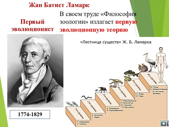 Жан Батист Ламарк 1774-1829 В своем труде «Философия зоологии» излагает первую эволюционную теорию Первый эволюционист