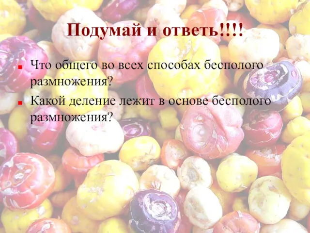 Подумай и ответь!!!! Что общего во всех способах бесполого размножения?