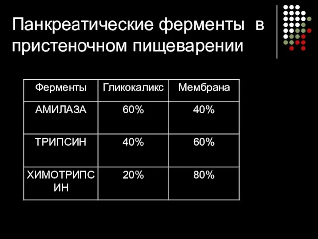 Панкреатические ферменты в пристеночном пищеварении