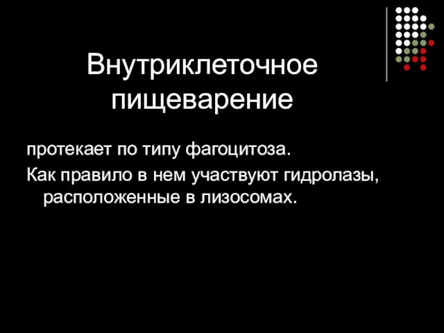 Внутриклеточное пищеварение протекает по типу фагоцитоза. Как правило в нем участвуют гидролазы, расположенные в лизосомах.