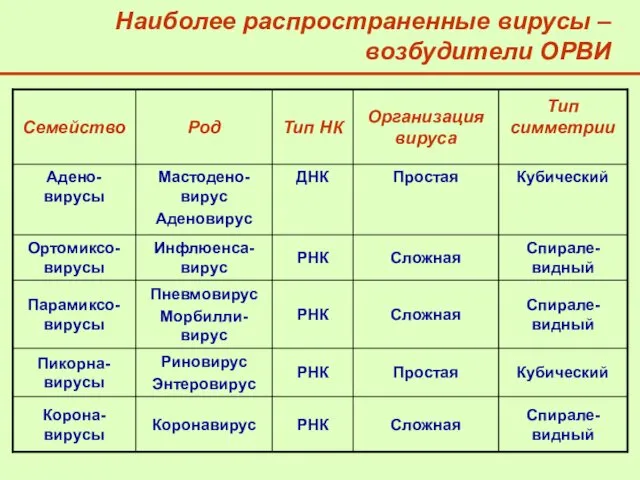 Наиболее распространенные вирусы – возбудители ОРВИ