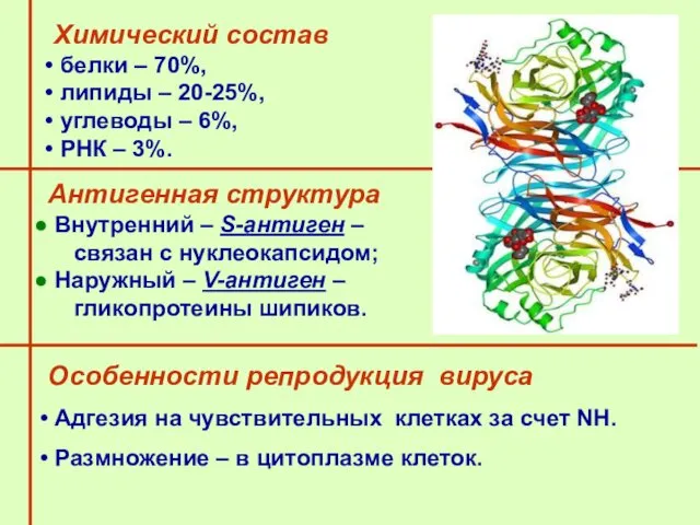 Химический состав белки – 70%, липиды – 20-25%, углеводы –